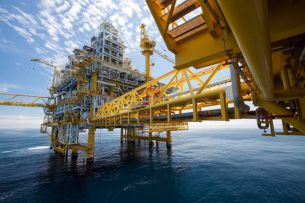 Rig Field Solutions - Global Pipeline & Rigging Experts